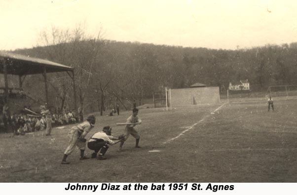 Diaz at bat